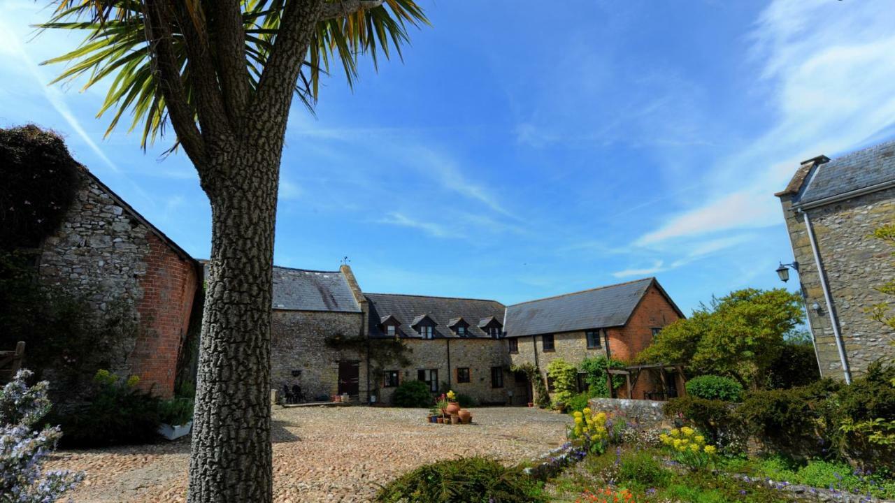 Rose Cottage Musbury Bagian luar foto
